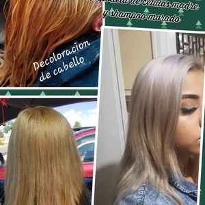 PURPLE SHAMPOO AND STEM CELLS SERIUM